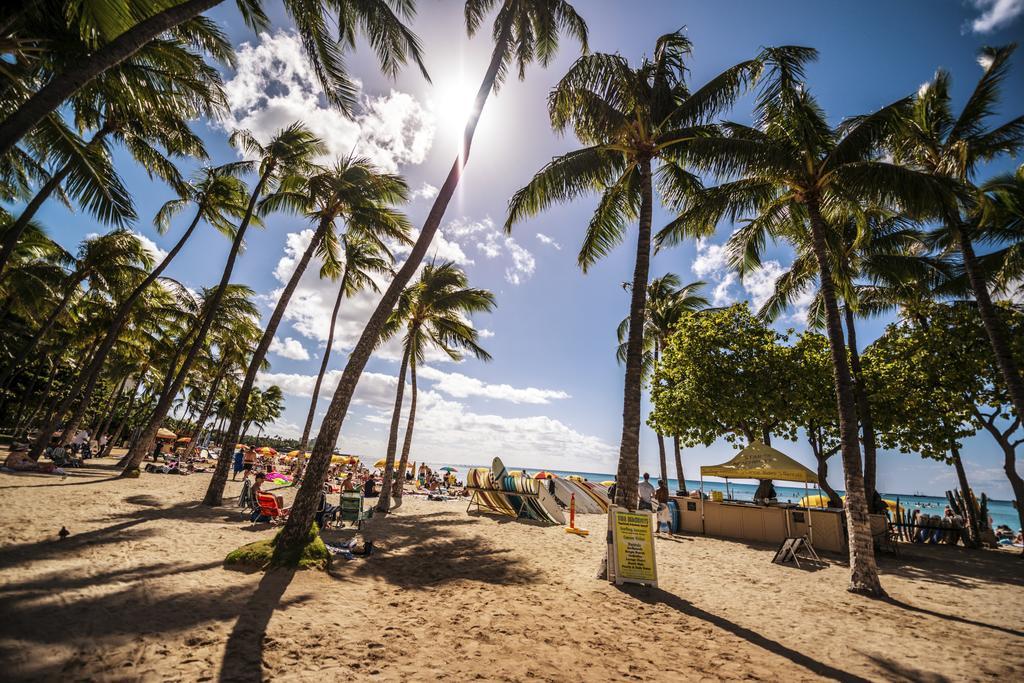 Waikiki Sunset Mountain View Near Beach With Parking Honolulu Exteriör bild
